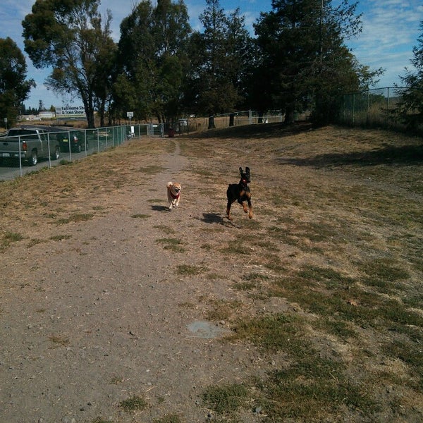 Rohnert Park Dog Park 1 tip