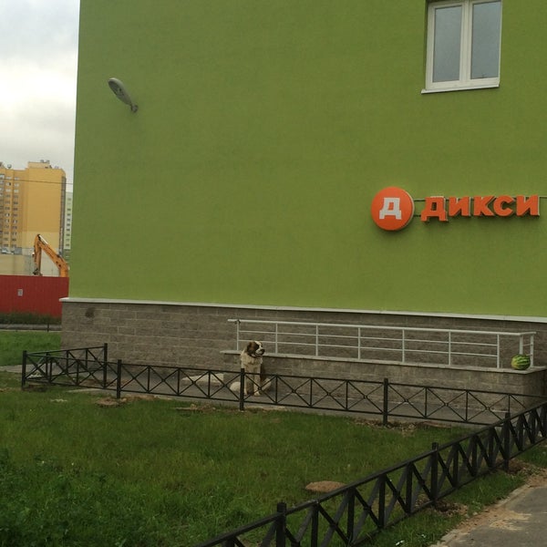 Улица корнея чуковского санкт петербург