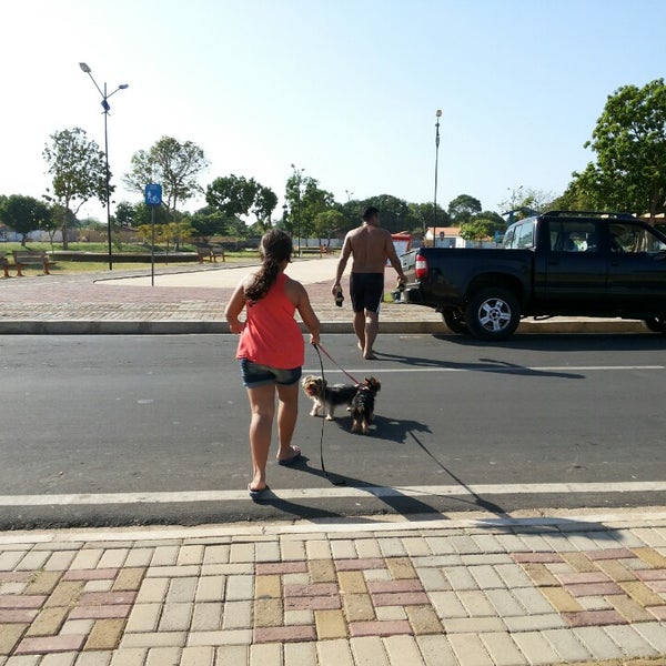 Физическая культура и спорт спбгу