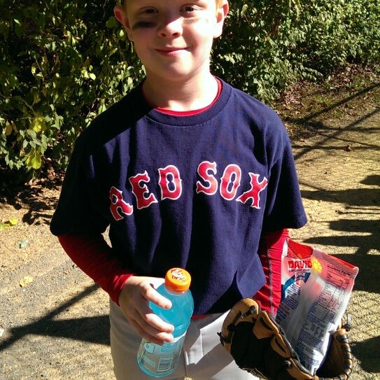 Yeonas Park Baseball Field in Vienna