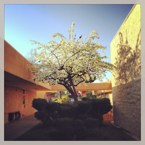 Park Dale Lane Elementary School 1 tip