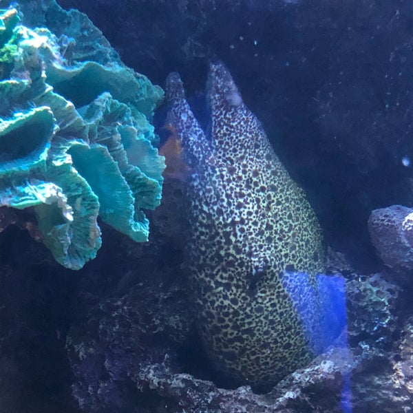 Photo taken at Aquarium Cancun by Ana S. on 5/3/2018