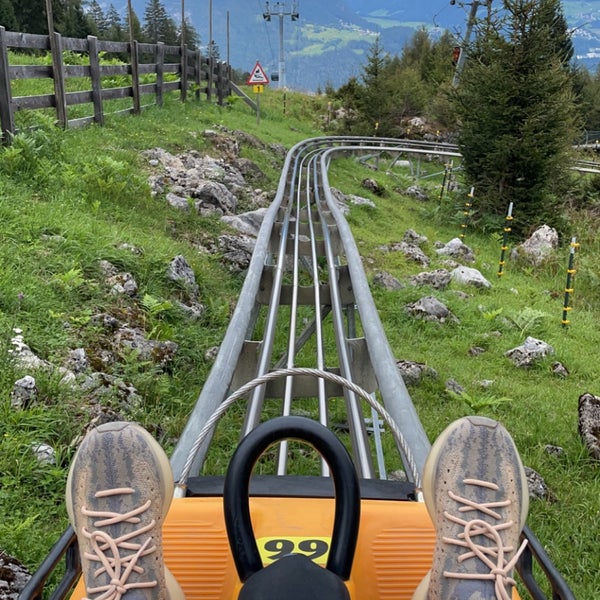 Трасса Alpine Coaster