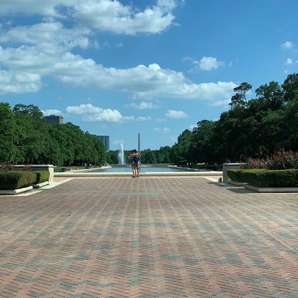 Houston Museum District Neighborhood in Houston