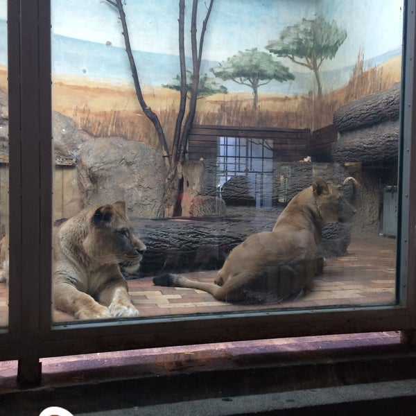 4/22/2018にUlaş CanがЗоопарк София (Sofia Zoo)で撮った写真