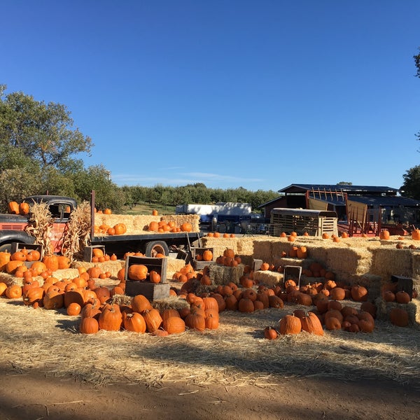 Cover's Apple Ranch Tuolumne, CA