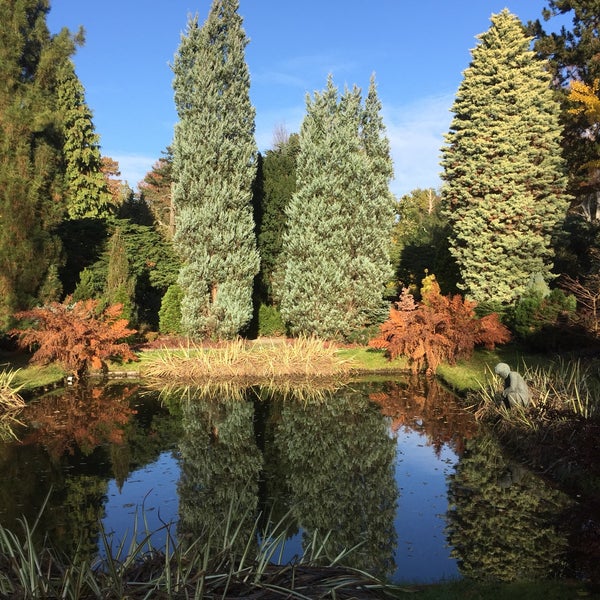 Photo taken at Trompenburg Tuinen &amp; Arboretum by Noor d. on 11/18/2018