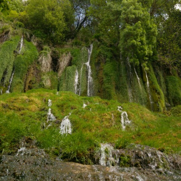 4/14/2017 tarihinde Eloi G.ziyaretçi tarafından Parque Natural del Monasterio de Piedra'de çekilen fotoğraf