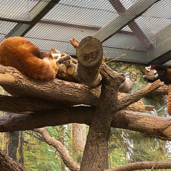 Снимок сделан в Kansas City Zoo пользователем Sunita M. 4/15/2022