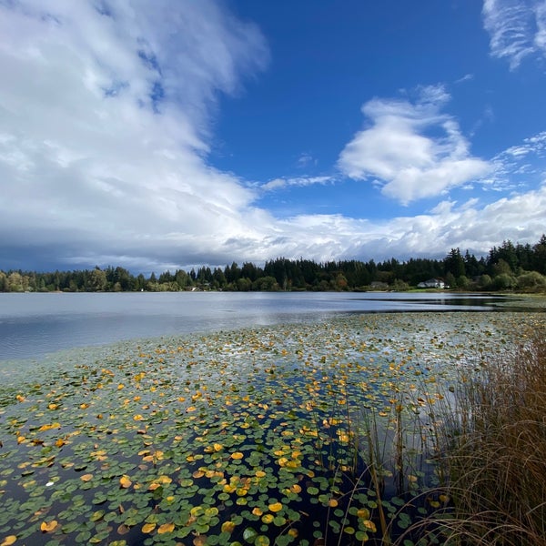 Фантом озера. Фантом озера. Призрачное озеро. Фантом озера. Ульяновск санаторий белое озеро.