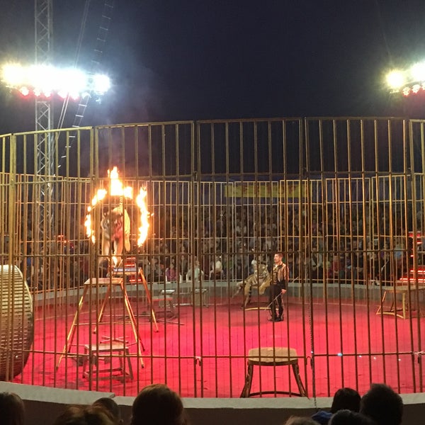 Цирк калининград. Цирк виват калининград. Цирк калининград 2024 август. Цирк в калининграде 2024. Цирк калининград 2024 август.