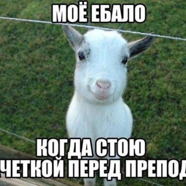 ФОТОГРАФИИ ГАСУ