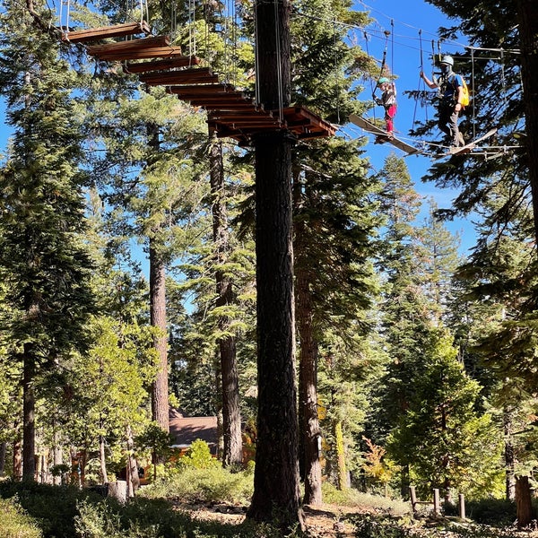 Tahoe Tree Top Adventures 7 tips from 251 visitors