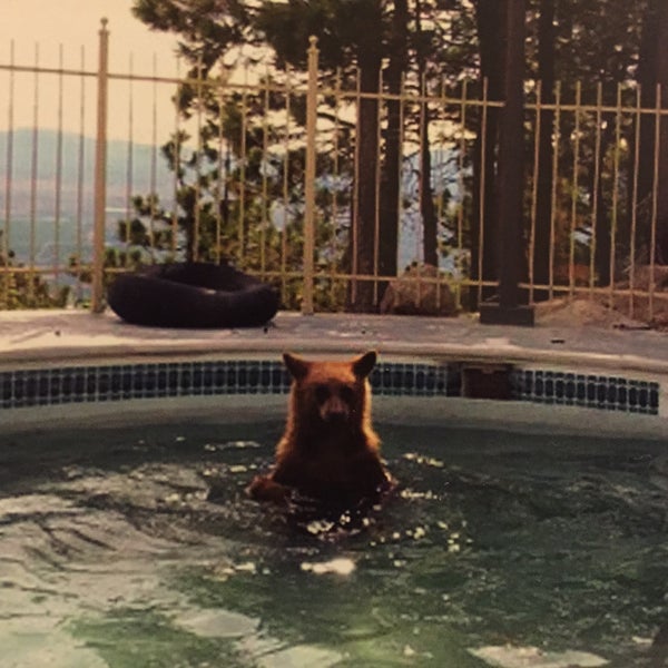 Foto tirada no(a) Lake Tahoe Resort Hotel por Ruslan A. em 7/18/2015