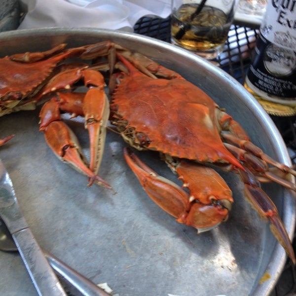 new orleans seafood and spirits new orleans seafood and spirits
