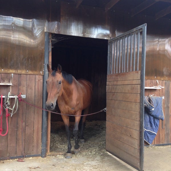 Конно спортивный комплекс красногорск. Конюшня евроуровня. Домодедово КСК.
