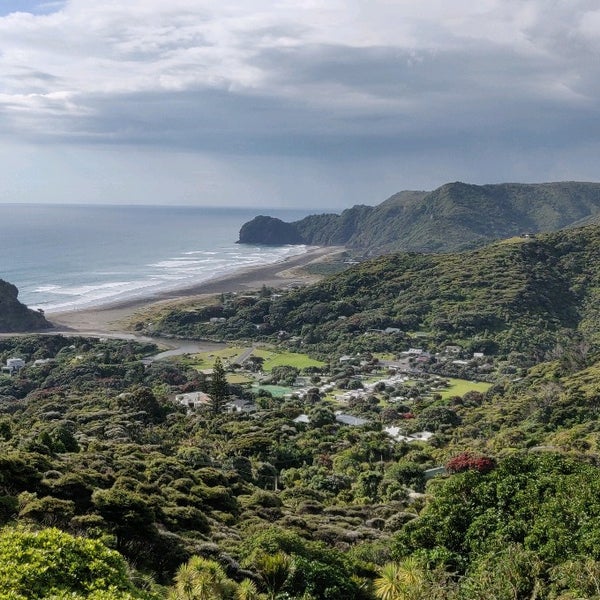 Bethells Beach the Wilds