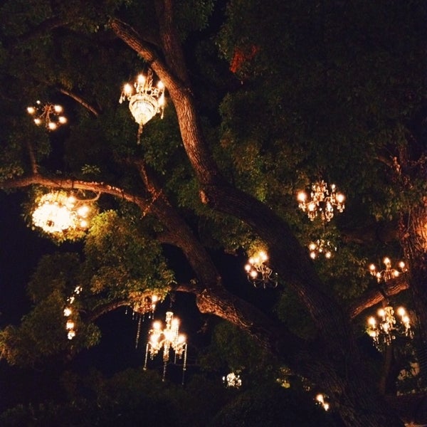 Photos at Chandelier Tree Tree in Silver Lake