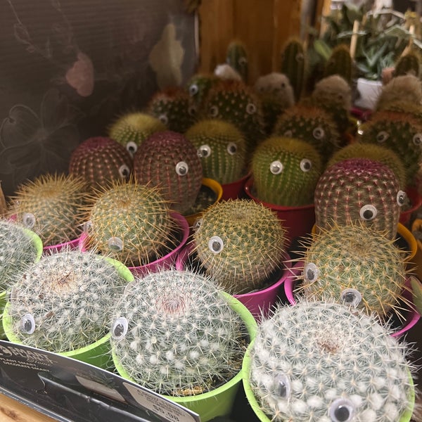 The Home Depot Woodbury 4 tavsiye