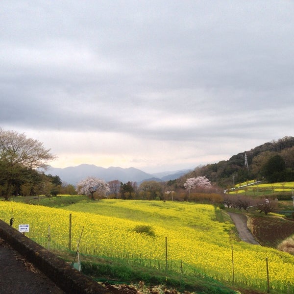 Photos At ふるさと農園四季の里 蜂花苑 Farm In 足柄上郡大井町