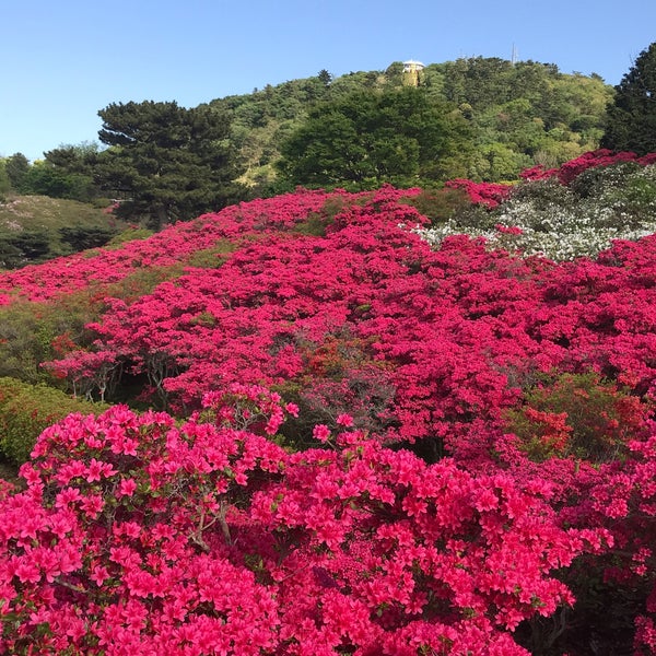Foto Di 小室山つつじ園 川奈小室山