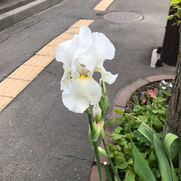 Photos At 東光ストア 大谷地店 厚別区 2 Tips From 177 Visitors