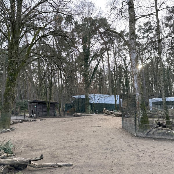 Photo taken at Zoo Rostock by Christoph Ø. on 2/11/2023