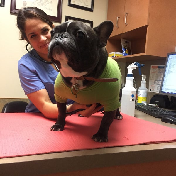 Animal Specialty Center Northwest Yonkers 8 tips