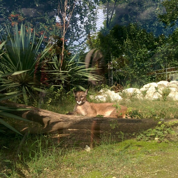 Foto tomada en Parco Zoo Punta Verde  por Marta T. el 8/5/2014