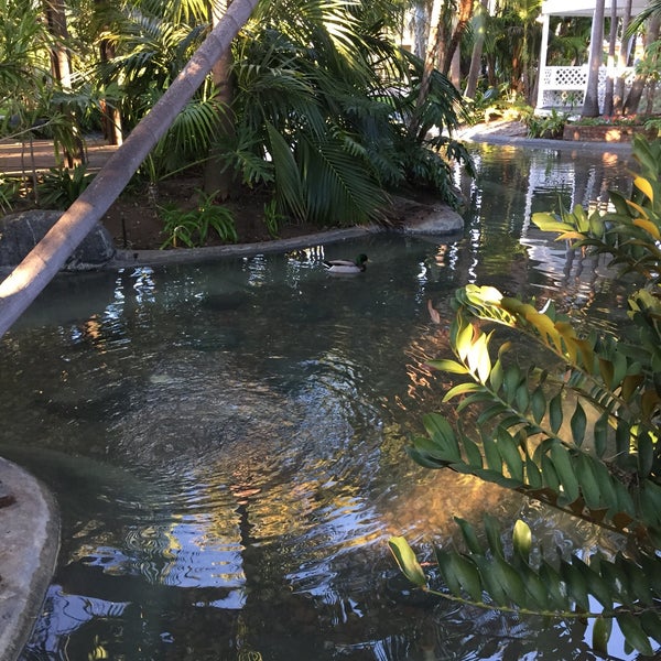 12/29/2016 tarihinde Bailey 💕 W.ziyaretçi tarafından Bahia Resort Hotel - San Diego'de çekilen fotoğraf