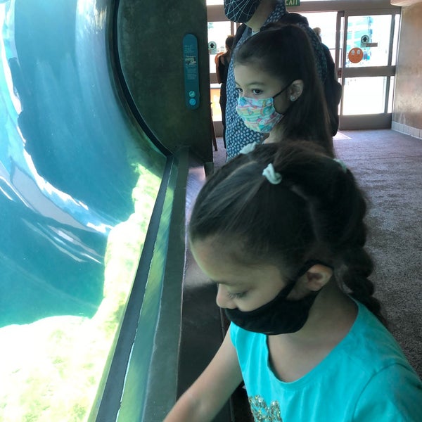 Foto tirada no(a) Aquarium of the Pacific por Bailey 💕 W. em 9/4/2021