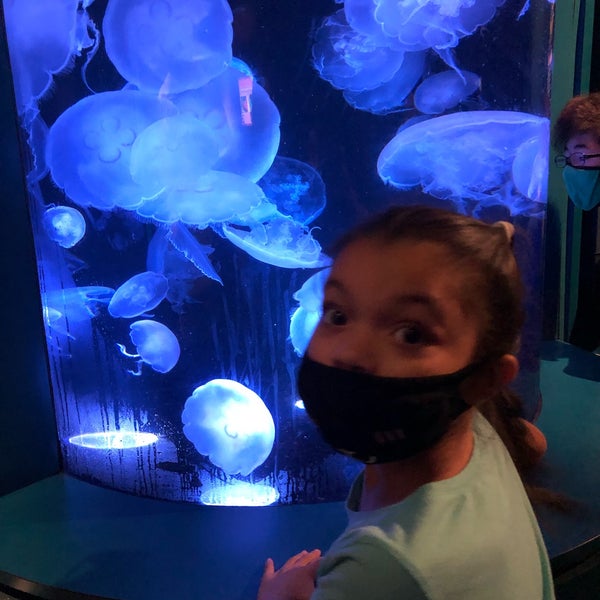 Foto tomada en Aquarium of the Pacific  por Bailey 💕 W. el 9/4/2021