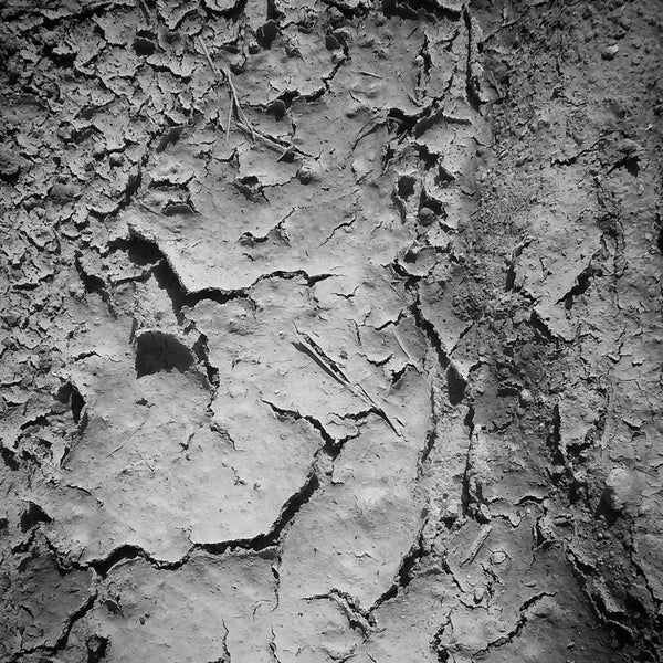 Fort Drum Wildlife Management Area boat launch Vero Beach, FL