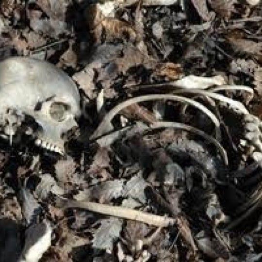 The Body Farm Knoxville, TN
