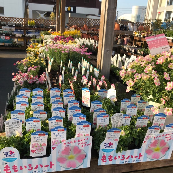 Photos At Dcmホーマック 石巻店 石巻市 宮城県