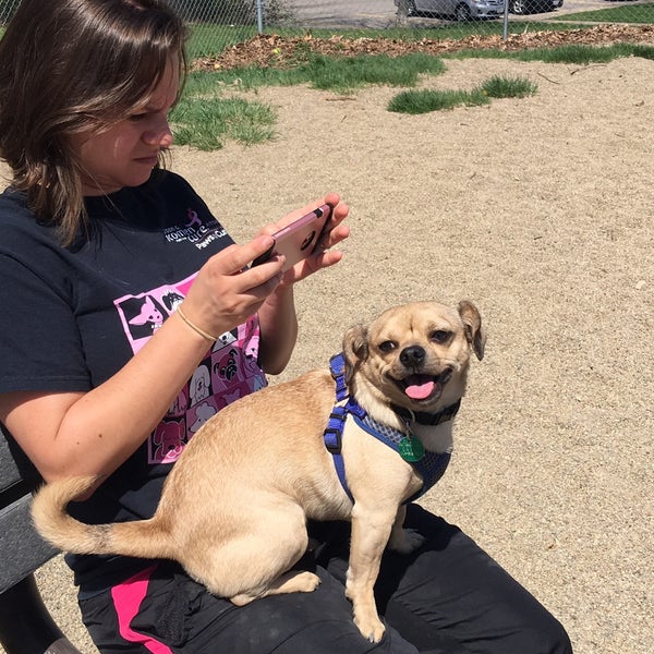 South Euclid Dog Park Dog Park in Cleveland