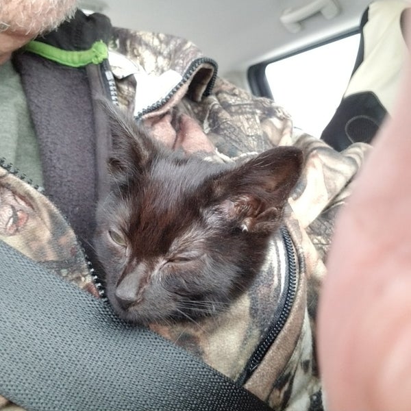 the nearest petsmart