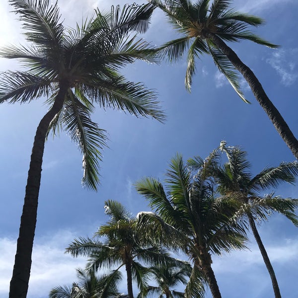 Das Foto wurde bei Marriott&#39;s Maui Ocean Club  - Lahaina &amp; Napili Towers von Sassy T. am 10/21/2019 aufgenommen