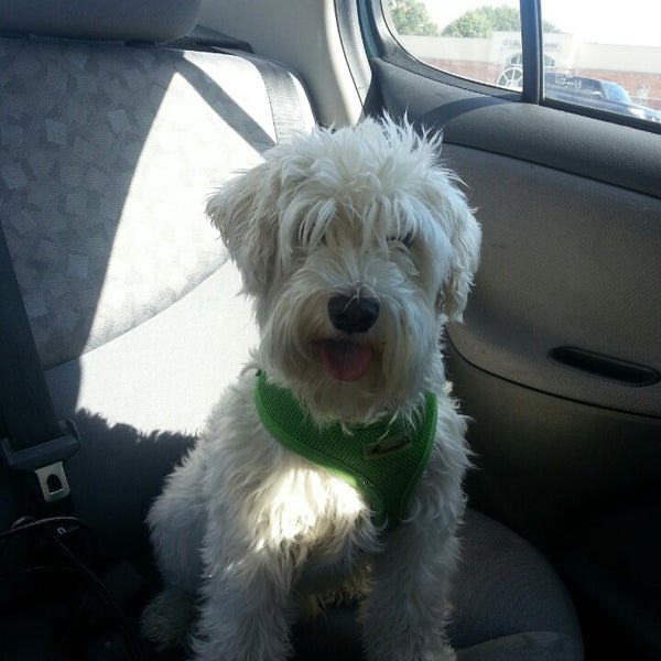 DPW Citizen DropOff Center (The Dump) Southern Baltimore Reedbird