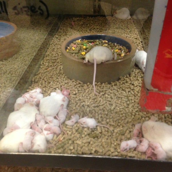 Morris Sussex Pet Supply 4 tips from 189 visitors