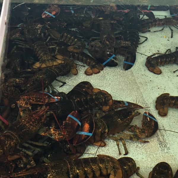 Fresh Pond Seafood Arlington Center Arlington, MA