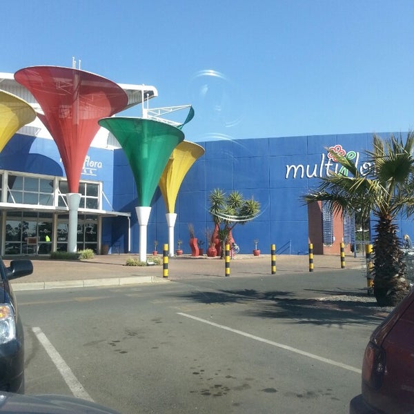 Lenz Flower Market Johannesburg Best Flower Site