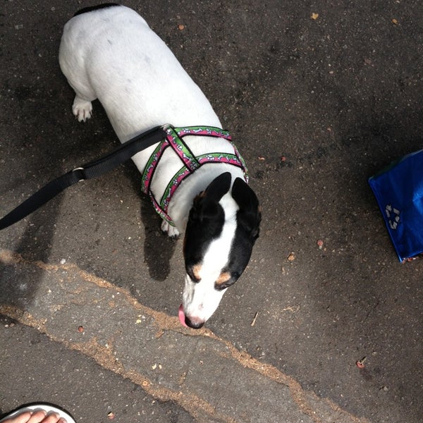 American Pet Barra da Tijuca Rio de Janeiro, RJ