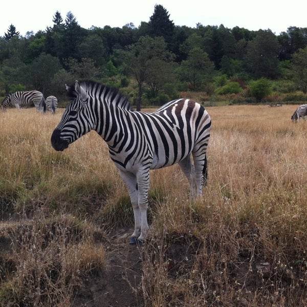 Photo taken at Wildlife Safari by Krea S. on 7/22/2014