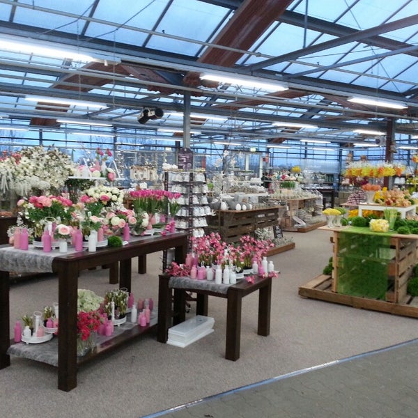 Blumen Risse Münster, NordrheinWestfalen