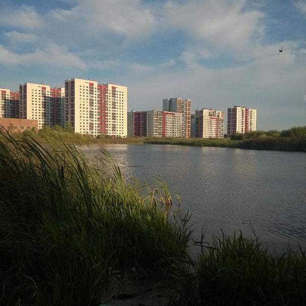 Цыганское озеро в ростове на дону