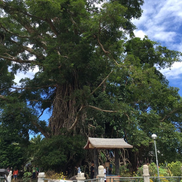 Photo taken at Biggest Balete Tree in Asia by Mae Carmel B. on 3/13/2016