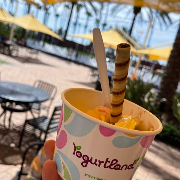 Yogurtland Frozen Yogurt Shop in Irvine