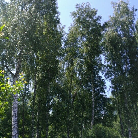 Лощина энгельсский район. Дом в домодедово. Зарецкий парк петрозаводск осень утка. Земельный пай. Лощина роше.