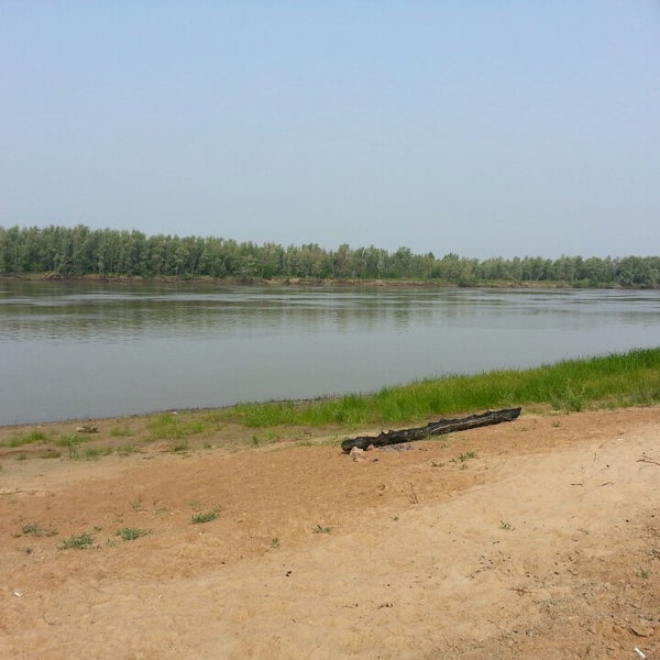 Зеленая роща чернолучье. Зеленая роща чернолучье